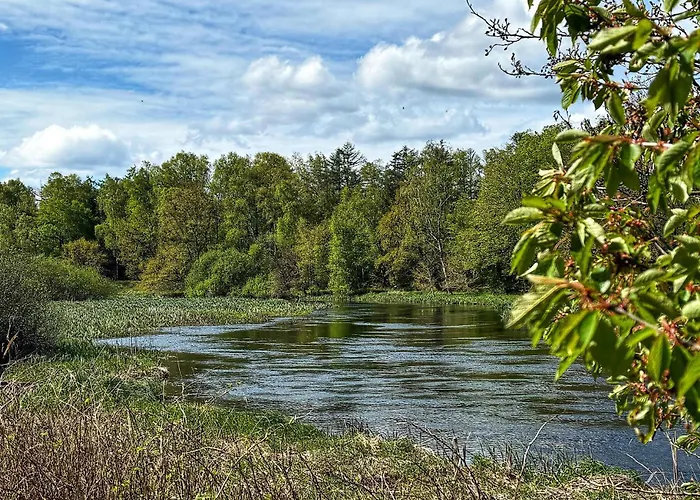 3 Bedroom Stunning In